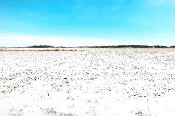 LAND AUCTION - 181.22+/- ACRE OFFERED IN 3 TRACTS IN JASPER CO., INDIANA